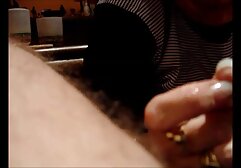 Chó đưa lưỡi của mình, quỳ trong những sex nhat ban bo chong nang dau bụi cây